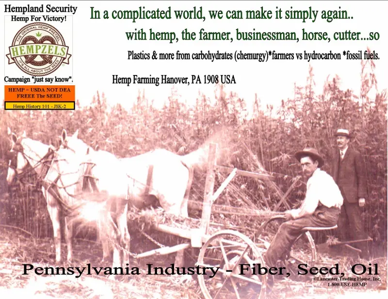 1908 Hanover PA hemp growing pre marijuana hysteria.
