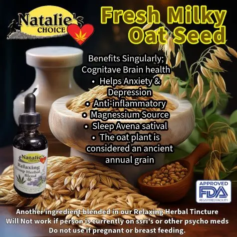 milky oats benefits