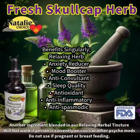 Skull cap herb and what its good for