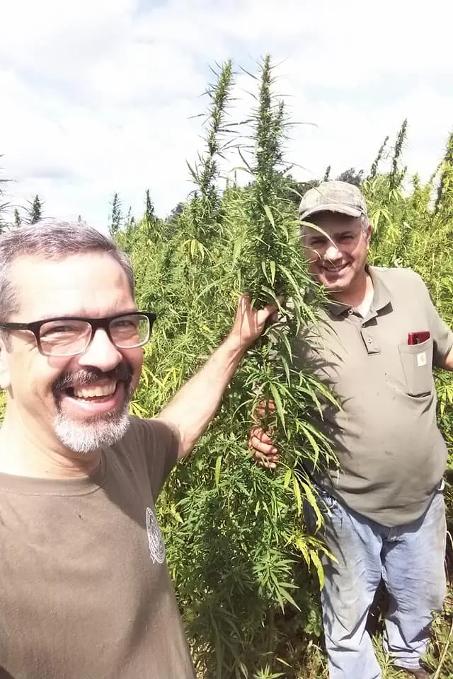 Lancaster County on the farm looking at the hemp flowering