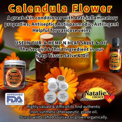 Calendula FlowerRev475w.webp