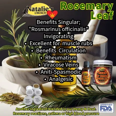 Rosemary Leaf_HempNHeat_475W.webp