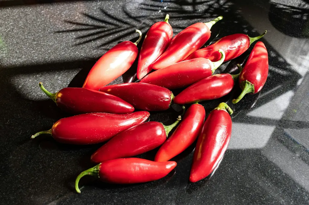 unsplash_V8sm3yFgD-0_cherry peppers.webp