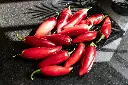 unsplash_V8sm3yFgD-0_cherry peppers.webp