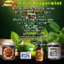 Oil Of PeppermintRev475W.webp