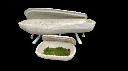 caskets2.webp