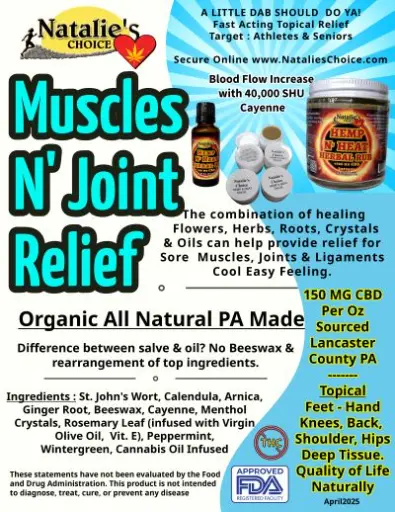 Muscles & Joint Relief Circulatory Salve 